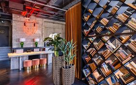 בראון מחנה יהודה